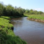 River River