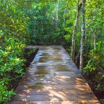 SlipFallWalkway SlipFallWalkway