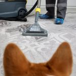 Dog_Vacuum Dog_Vacuum